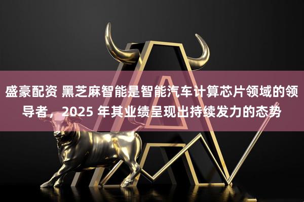 盛豪配资 黑芝麻智能是智能汽车计算芯片领域的领导者，2025 年其业绩呈现出持续发力的态势
