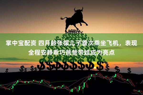掌中宝配资 四月龄张檬儿子首次乘坐飞机，表现全程安静乖巧爸爸带娃成为亮点