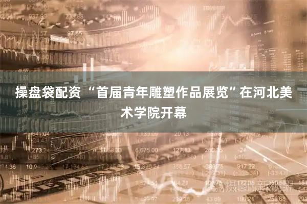 操盘袋配资 “首届青年雕塑作品展览”在河北美术学院开幕