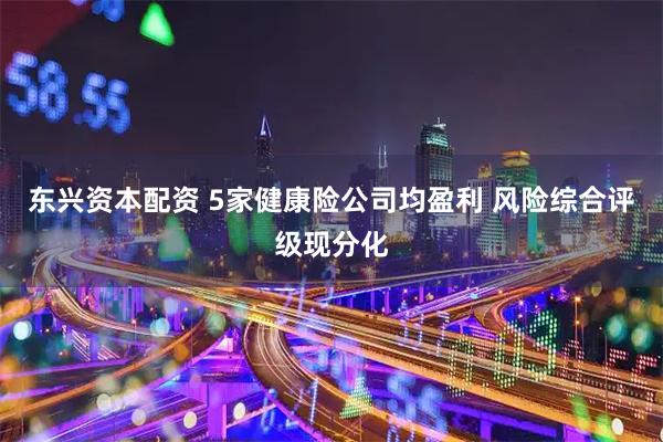 东兴资本配资 5家健康险公司均盈利 风险综合评级现分化
