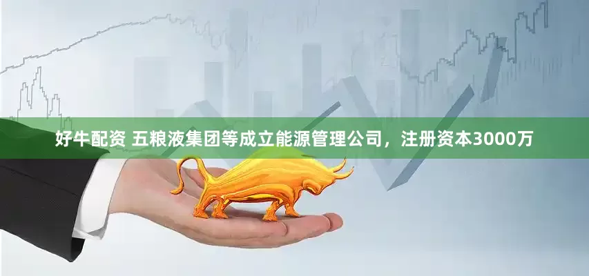 好牛配资 五粮液集团等成立能源管理公司，注册资本3000万