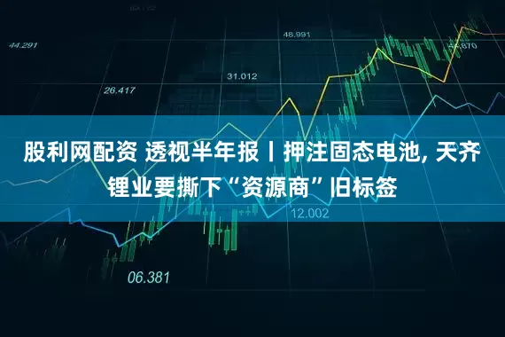 股利网配资 透视半年报丨押注固态电池, 天齐锂业要撕下“资源商”旧标签